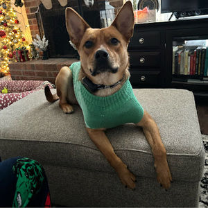 Meet your Posher, Jaycee